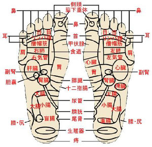 足裏にはたくさんのつぼがあります（足つぼ図参照）。足裏のつぼは全身の各器官や機能につながっています。足裏に黒鉛シリカからの強力な遠赤外線放射と微量な放射線からの－イオンを与えることにより、血行を促進させ、各器官を活性化し、病状改善、健康維持、人間が本来持っている自然治癒力を高めるなどの効果があります。