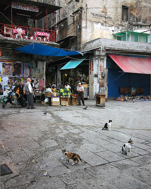 Vucciria main square