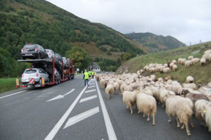 Pendant que nous marchons, elles roulent sur des camions...