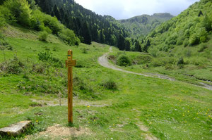 Scellement renforcé à cause du bétail (Plateau de Labrénère)