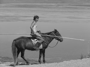 Pour ramener le bétail a cheval