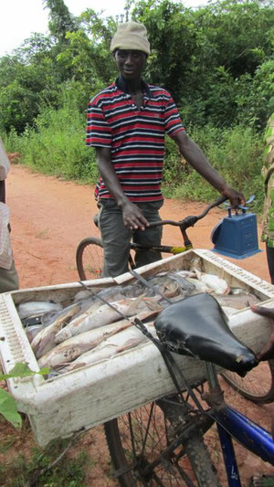 Il pescatore in bici che porta la bilancia