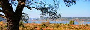 le lac du Salagou