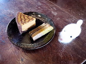 お野菜のケーキ♪