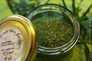 Französischer Estragon, der aromatischste unter den Estragonsorten
