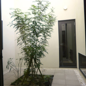 樹木の新植工事