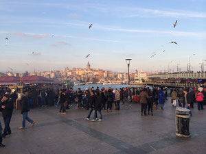 View of Galata Bridge and Tower