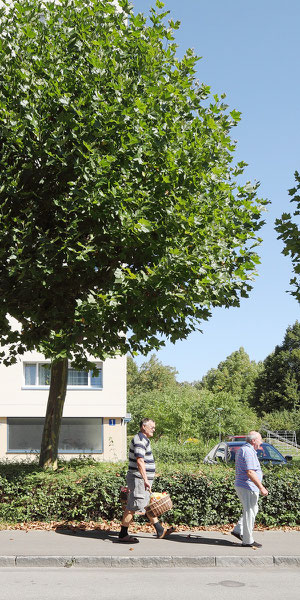 STERNENFELD I