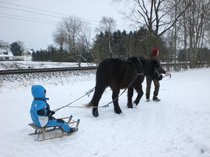 ein braves Pferd kann vieles lernen