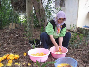 Marmelade kochen