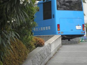 入国管理局永住権申請