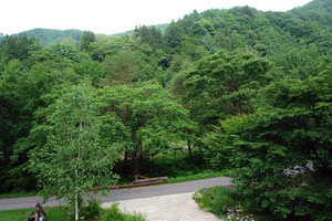 くじら屋さんからの風景