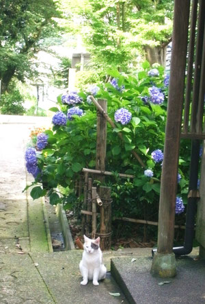 律儀でしょw