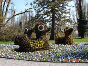 Auf der Insel Mainau