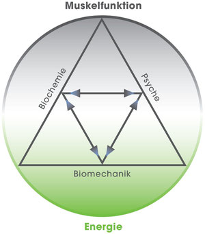 Biochemie, Biomechanik, Psyche