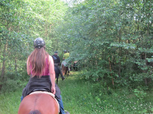 im Wald verschwinden