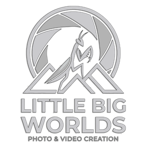 LittleBigWorlds