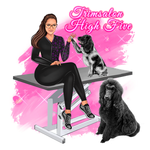 De website van trimsalonhighfive!