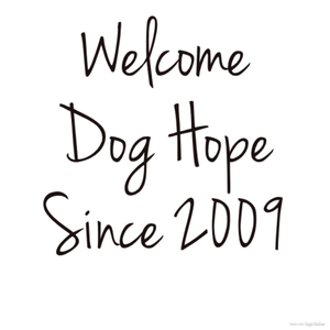 DOG　SALON　HOPE 「LOVE+WISH=HOPE」　ペット　トリミング　シャンプー 多賀城 塩竃　仙台　利府　七ケ浜　 若林区　宮城野区　犬