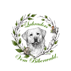 biberwald