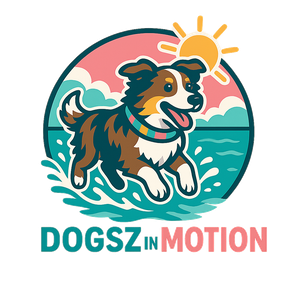 De website van Dogsz in Motion