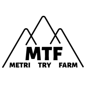 おいしいトマト「METRI TRY FARM」 山形県白鷹町