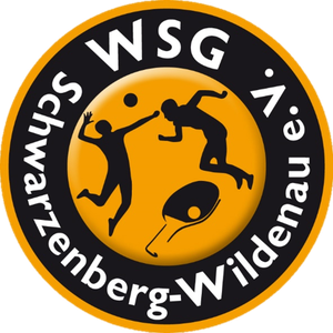 schwarzenberg-volleyball