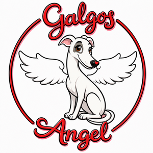 galgos angel