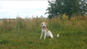 In Tempelhof auf dem alten Flughafen