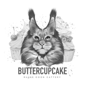 Buttercupcake's Maine Coon's!