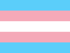 Logo: Trans* Pride Fahne