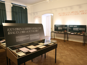 Installationsansicht "Aus dem Schatten"