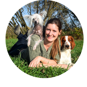 Hundeschule Animal Train