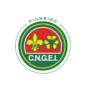 Benvenuti su cngeipiombino!