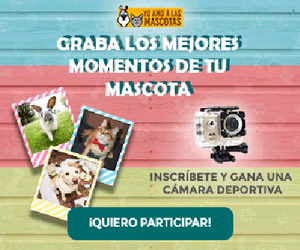 sorteo camara deportiva