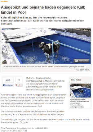 zum Vergrößern auf das Bild klicken