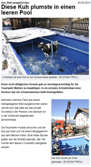 zum Vergrößern auf das Bild klicken