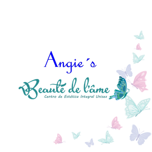 Página web de angiesbeautedelame