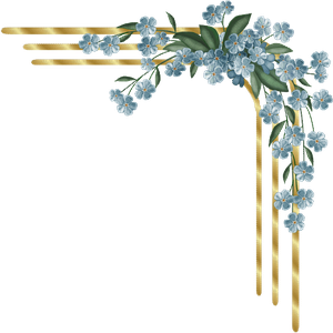 PNG рамочки