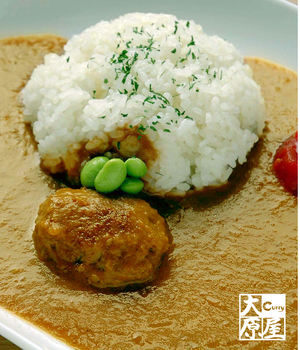 甘口ハンバーグカレー