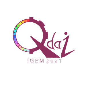 iGEM2021 チーム九大: Team Qdai