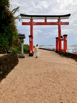 昨年行った青島神社⛩
