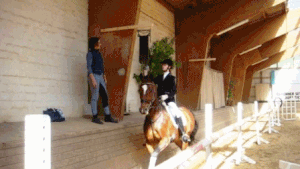 Ringreit Gif.