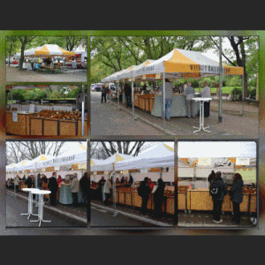 Die 10 Schonsten Markte In Frankfurt Expedia Explore