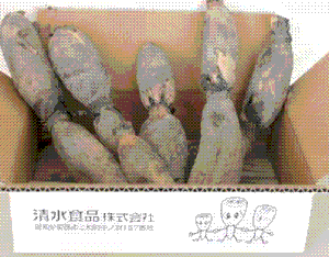 蓮根(by Shimizushokuhinn)