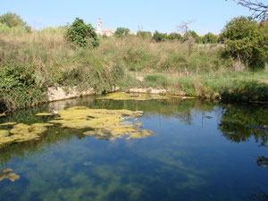 Bassa de la Fuente del Consuelo