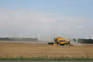 Mähdrescher auf dem Feld