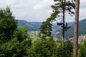 Schwarzwald bei Baiersbronn. Wanderhimmel. Foto Rainer Sturm