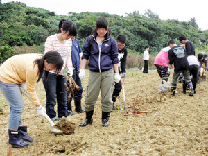 修学旅行生が、地元住民の交流を深め、月桃植栽を行った=市内白保