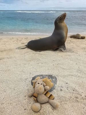 Follow Elli Reisebericht Weltreise Erfahrung Galapagos Inseln - San Cristobal